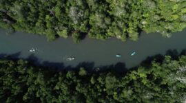 Wisata kayaking di Dusun Rangko, Labuan Bajo tidak hanya menawarkan pengalaman yang menyenangkan, tetapi juga edukasi tentang pentingnya menjaga kelestarian alam. Foto: Sumba Times/BPOLBF